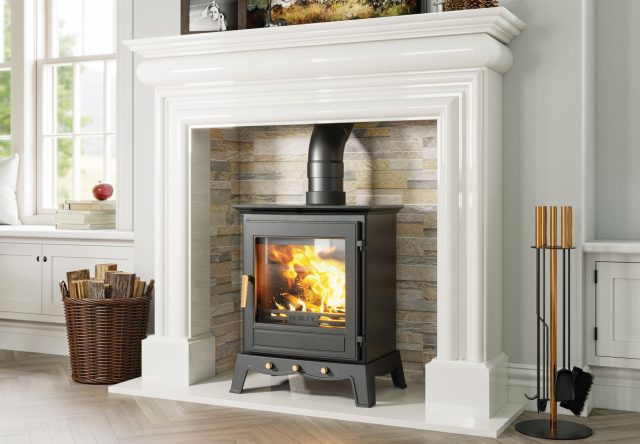 ash re 1 Insert-V-Free-Standing-Stoves